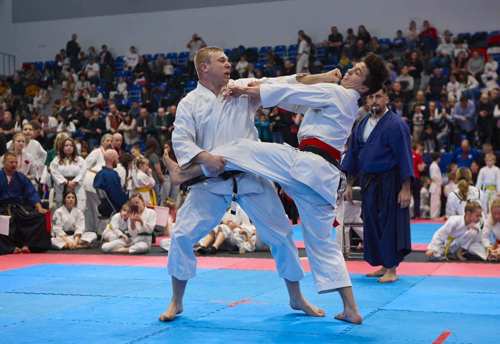 Sensei Oskar na zawodach